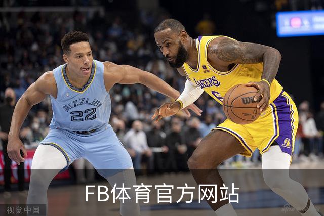 专业FB体育官方网站平台